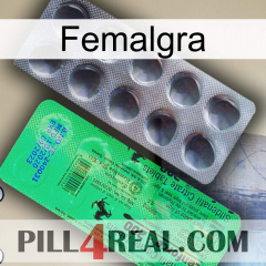 Femalgra new04